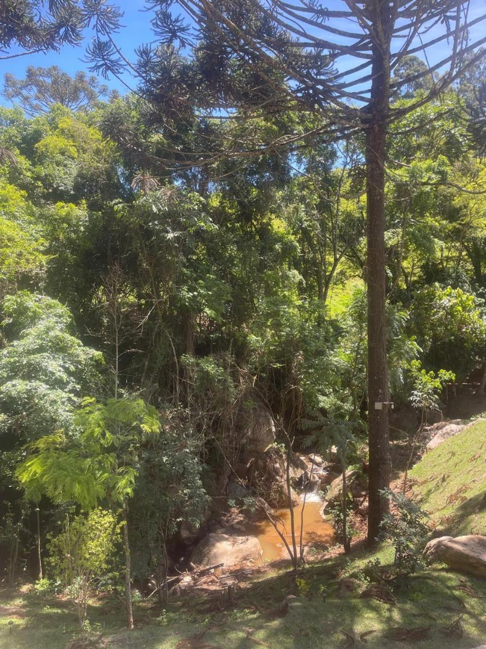 Del Bosque Alojamento de Turismo Selvagem