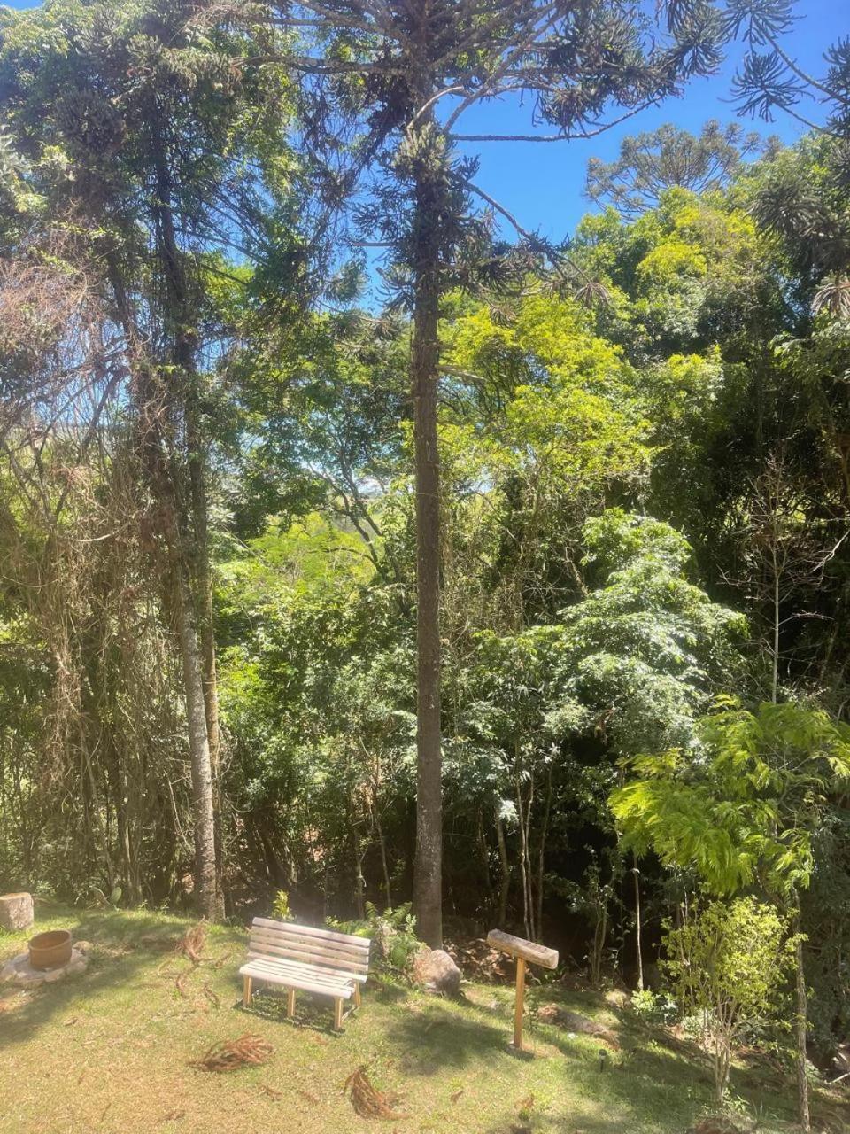 Del Bosque Lodge *