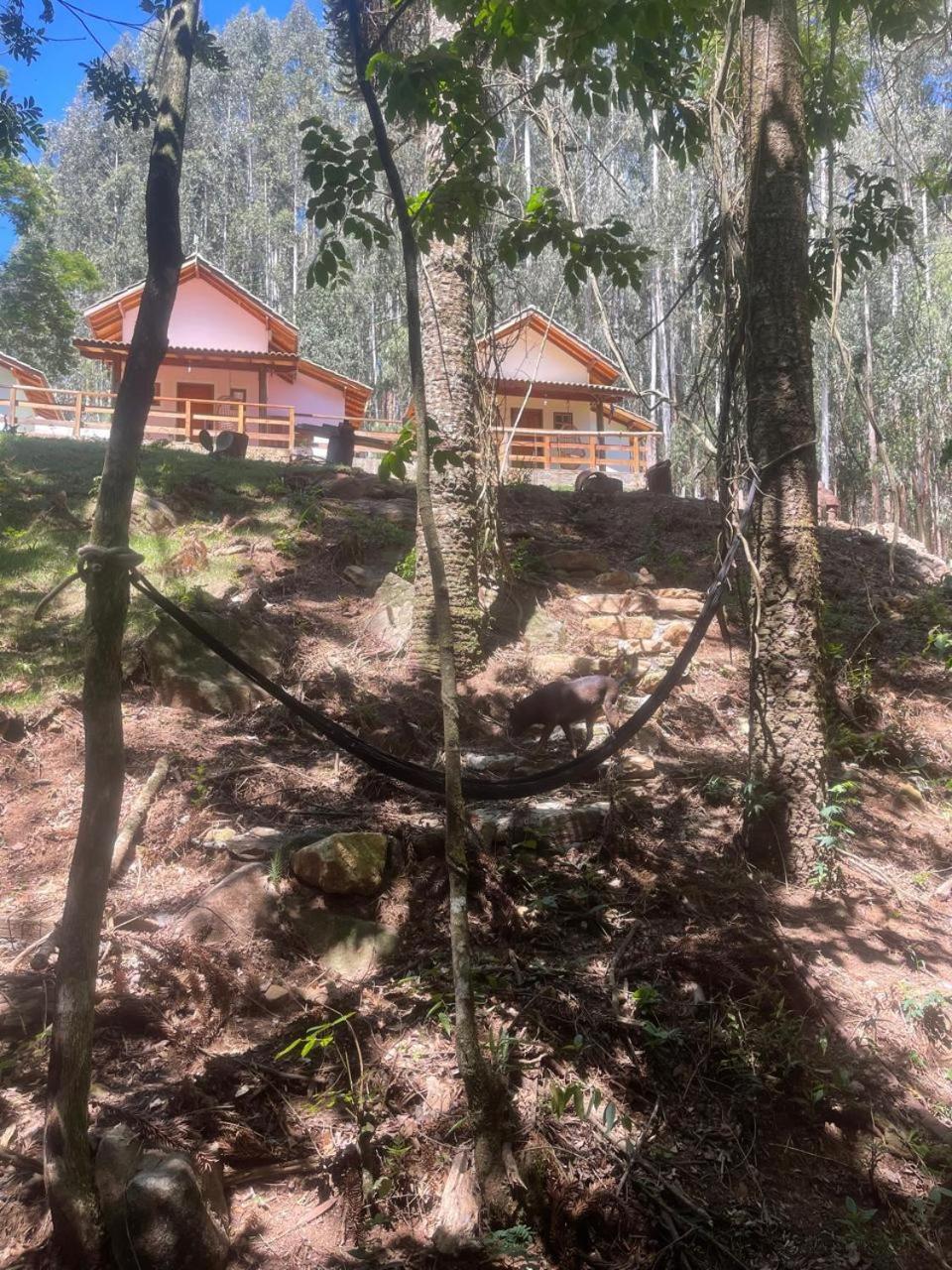 Del Bosque * Monte Verde (Minas Gerais)
