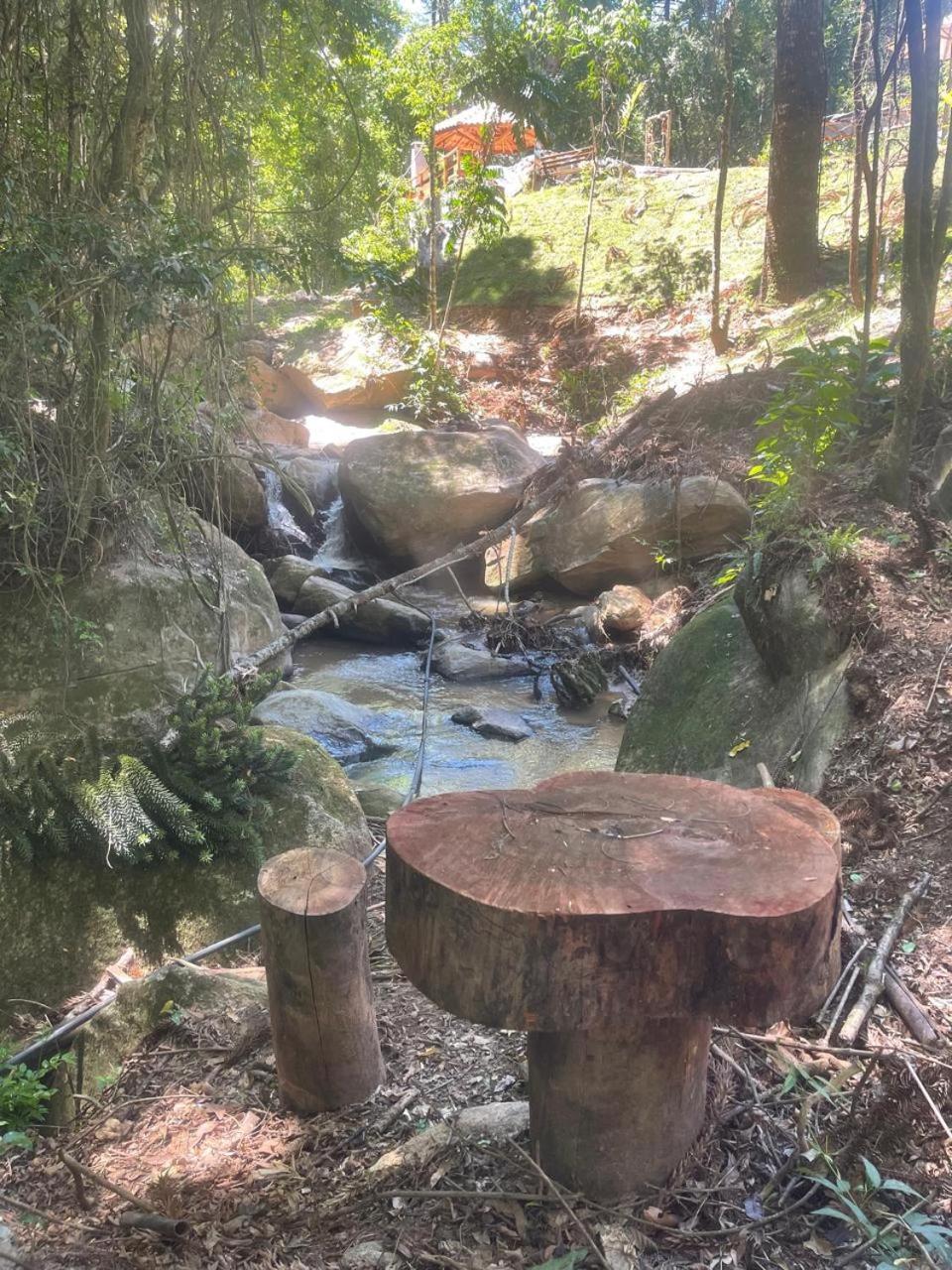 Del Bosque * Monte Verde (Minas Gerais)