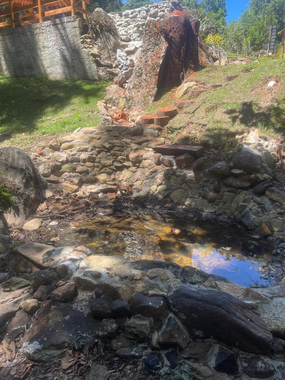 Lodge Del Bosque