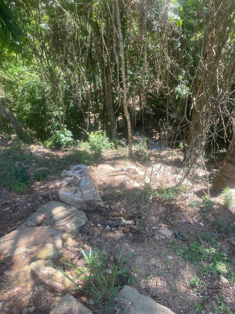 Lodge Del Bosque *
